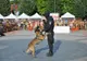 Demonstrații de dresaj canin și alte evenimente cu ocazia Zilei Poliției