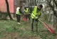 Primarul îi pune pe ieșeni la treabă: 5.000 de greble puse la dispoziție pentru curățenia de primăvară
