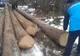 Bucuria copiilor: jandarmii ieșeni își prezintă tehnica de luptă