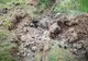 Șoferi descoperiți în neregulă, la câteva zile de la accidentul din Lețcani