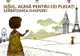 Sărbătoarea Diasporei, în toi la Iaşi