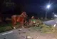 FOTO: Accident rutier în care a fost implicată o căruţă!