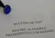 La trei secții de votare din Iași nu a votat nicio persoană de pe listele permanente