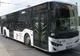 Modificări în circulația mijloacelor de transport public din Iași