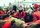 Spectacol total: Urșii de la Comănești au luat cu asalt Pietonalul