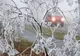 Informare meteo de vreme rece, ninsori, polei și vânt