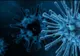 Bilanț coronavirus 9 septembrie: 1.271 de cazuri noi, 51 de decese și 459 de persoane internate la ATI