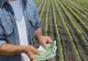 Peste 90 de milioane de euro vor ajunge, în următoarea perioadă, în conturile fermierilor 