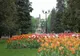 Parcul Copou, cel mai nou monument istoric din Iași