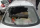 Tineri bănuiți de distrugere, identificați de polițiști