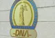 Culisele statului paralel | DNA, de la ”mama cătușelor” la ”tatăl răniților”. Kovesi revine în forță, cine tremură