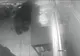 VIDEO Urs într-un restaurant din Micfalău