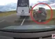 VIDEO - Inconștiență la volan - Manevră extrem de periculoasă, surprinsă de camera de bord