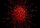 Bilanț coronavirus 10 august: 312 noi cazuri, 4 decese
