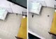 Imagini șocante într-un spital din Iași. Un șobolan, surprins printre paturile pacienților