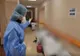 Criză MAJORĂ la ATI! Pacienți tratați pe holuri - Bolnavii așteaptă ore întregi pentru eliberarea paturilor: Imagini de coșmar din spitale