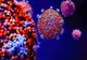 Bilanț coronavirus 26 noiembrie: 1.958 cazuri noi și 160 de decese dintre care 45 anterioare