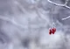 Ce anunță meteorologii pentru astăzi