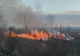 Peste 5000 mp de vegetație uscată au ars în apropiere de Târgu Frumos