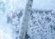 Val de aer polar în România, de Florii