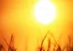 Anunțul momentului de la ANM - Când se termină ploile și ne putem bucura de primele temperaturi de vară