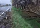 Furtuna a făcut ravagii în județul Iași: gospodării inundate, copaci smulși de vânt, linii de tramvai blocate
