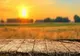 August - cea mai însorită și călduroasă lună din an. Ce temperaturi record ne așteaptă