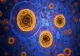 AVERTISMENT: Europa s-ar putea confrunta cu o epidemie de cancer!