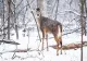 Prognoza meteo 29 decembrie. Temperaturi de 12 grade - zonele unde începe ninsorile