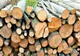 Austria, afaceri și profituri uriașe din tăierea pădurilor românești - România Suverană