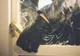 Garaje sparte în Pașcani! Hoțul, în arest