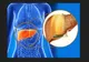 Cum să menținem un ficat sănătos