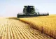 ROMÂNIA ÎNSUMEAZĂ 23% DIN FORȚA DE MUNCĂ ÎN AGRICULTURĂ DIN UE