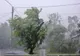 Vremea 7 martie - România, între ninsori și temperaturi de primăvară - Intensificări puternice de vânt
