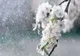 Prognoza meteo 1 mai. Temperaturi în creștere, dar și zone lovite de ploi - cum va fi vremea în ultima zi de minivacanță