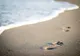 Un primar a plecat în concediu la mare cu angajații - Primăria a rămas goală