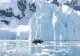Verdict sumbru pentru omenire: Dispare gheața marină din Arctica în 6 ani - Schimbări dramatice ale climei - Valuri de căldură și inundații uriașe