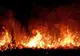 DSU: INCENDII DE VEGETAŢIE, ÎN MAI MULTE JUDEŢE