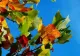 Vremea 20 septembrie - Ploi locale și temperaturi de 30 de grade