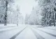 VREMEA 15 FEBRUARIE. NINSORI VISCOLITE ȘI TEMPERATURI SUB NORMALUL PERIOADEI 