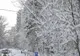 VREMEA 18 FEBRUARIE. TEMPERATURI SCĂZUTE ȘI NINSORI ÎN CEA MAI MARE PARTE A ȚĂRII