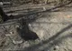 MAPN: RESTURI DE DRONĂ DE PROVENIENŢĂ RUSEASCĂ, GĂSITE ÎN APROPIEREA LOCALITĂŢII PLAURU