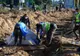 LOVITURI ISRAELIENE ÎN LIBAN DUPĂ TIRURI LANSATE DE HEZBOLLAH. CEL PUȚIN 9 MORȚI
