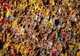 Fotbal / Meci decisiv pentru Cupa Mondială: România merge în Bosnia cu gândul la victorie