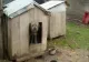 Guvernul pune taxă pe orice, vom plăti inclusiv pentru cușca animalelor