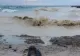 Alertă la Marea Neagră. O dronă a fost semnalată în apropiere de Portul Midia