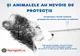 DSU face apel la protejarea animalelor în zilele geroase