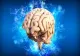 Îmbătrânirea creierului: când declinul cognitiv devine accelerat. Ce spun experții