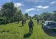 Miracol în Botoșani: o femeie de 94 de ani a supraviețuit trei zile în pădure. Rolul incredibil al câinilor