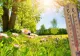 Prognoza meteo, 26 mai: soare, până la 31°C și vânt mai puternic în unele regiuni